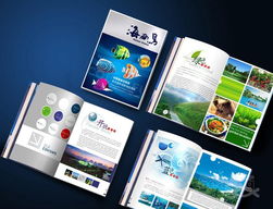 专业设计印刷一条龙服务 从创意到成品的无缝衔接